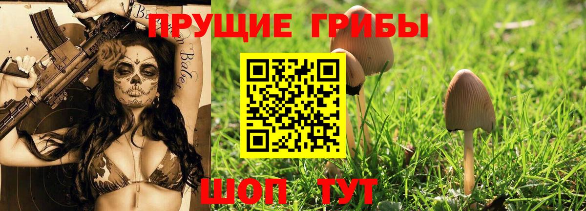 Белая Калитва  Псилоцибиновые грибы Psilocybine cubensis  Псилоцибиновые грибы GOLDEN TEACHER  Вход с VPN 